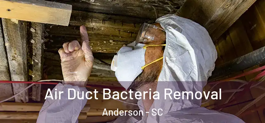  Air Duct Bacteria Removal Anderson - SC