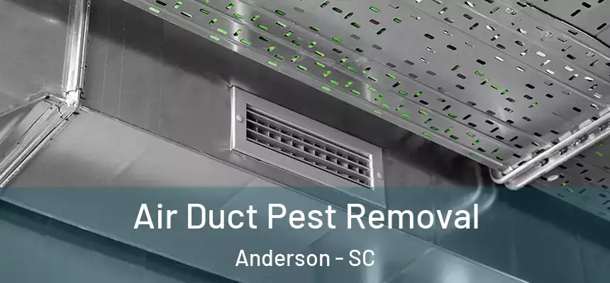  Air Duct Pest Removal Anderson - SC
