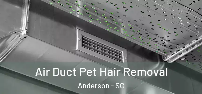  Air Duct Pet Hair Removal Anderson - SC