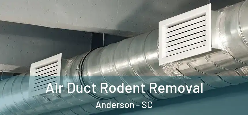  Air Duct Rodent Removal Anderson - SC