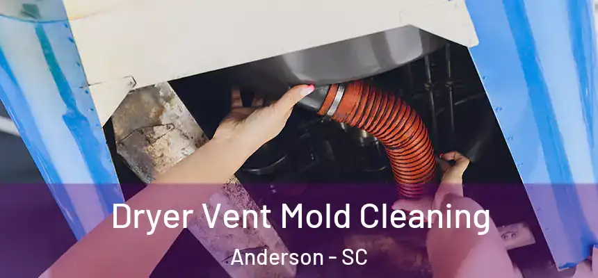  Dryer Vent Mold Cleaning Anderson - SC