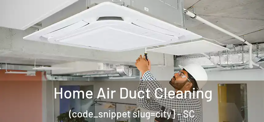  Home Air Duct Cleaning (code_snippet slug=city] - SC
