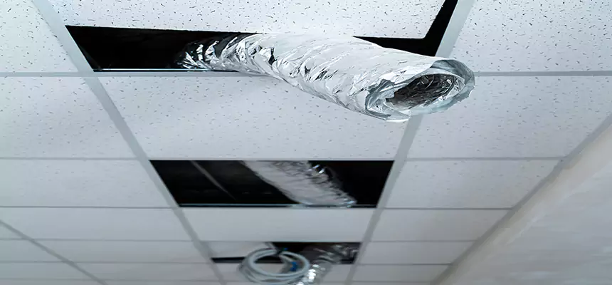 Our Air Duct Pet Hair Removal Services in Anderson, SC