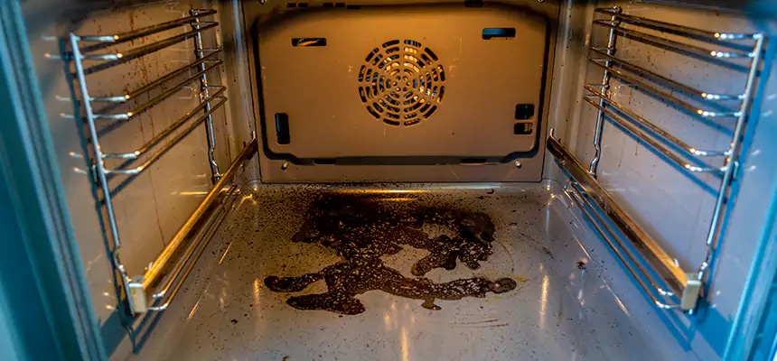 Our Dryer Vent Mold Cleaning Services in Anderson, SC