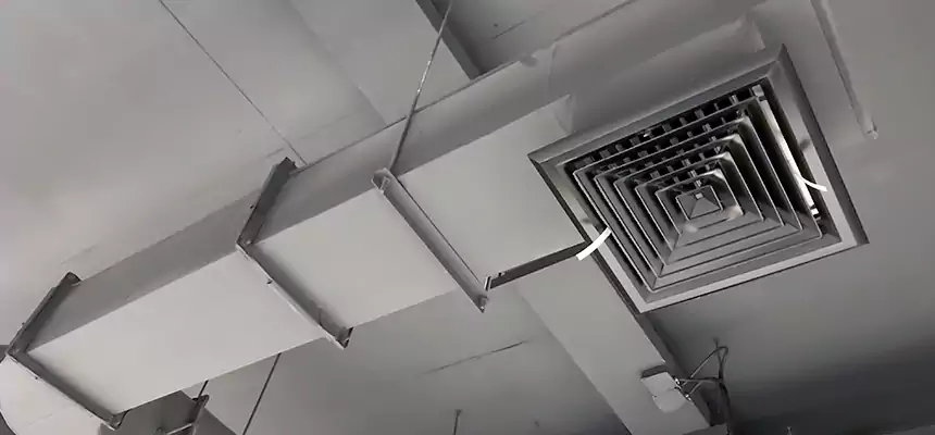 Our Pest Removal From Ducts Services in Anderson, SC