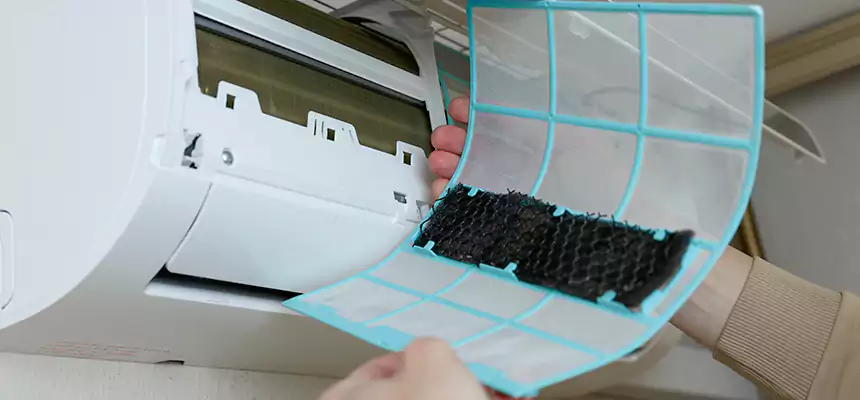 Gentle Ductwork Odor-Control Pet Dander Duct Cleaning in Anderson, SC