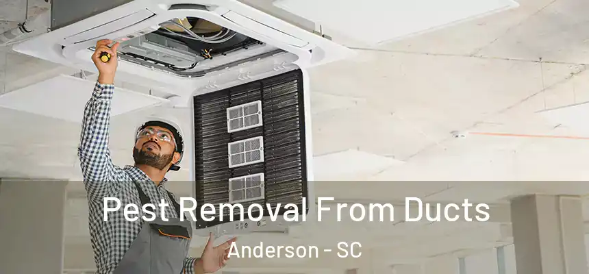  Pest Removal From Ducts Anderson - SC