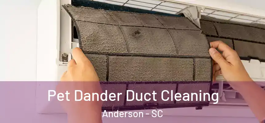 Pet Dander Duct Cleaning Anderson - SC