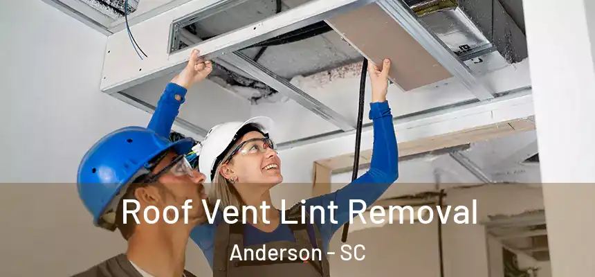  Roof Vent Lint Removal Anderson - SC