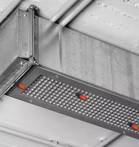 About Air Duct Cockroach Removal in Anderson, SC