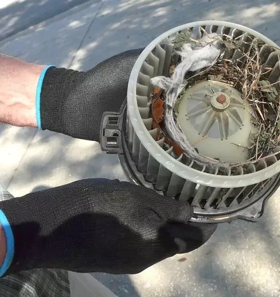 About Air Duct Rat Removal in Anderson, SC