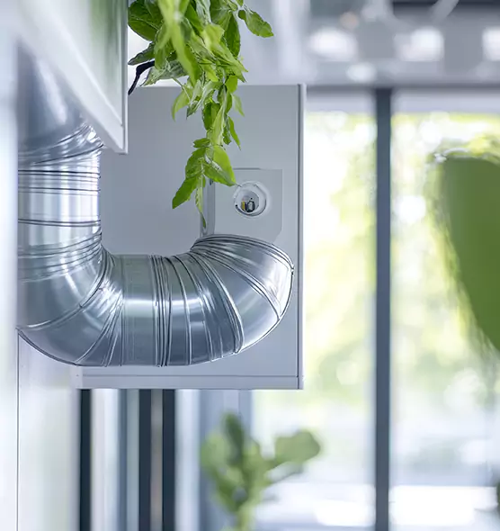 Professional Eco-Safe Dryer Vent Cleaning in Anderson, SC