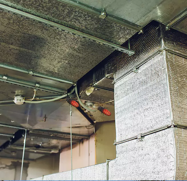 Why Homeowners & Businesses Trust Us in Anderson, SC?