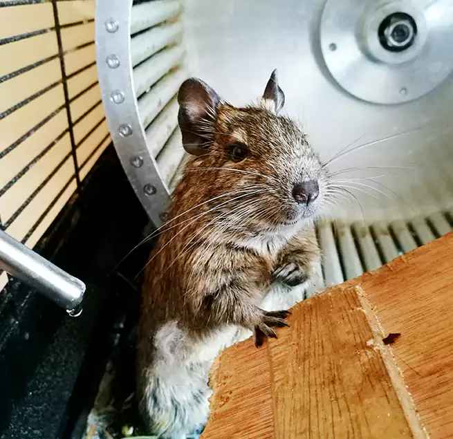 Why Homeowners & Businesses Trust Us Anderson, SC?